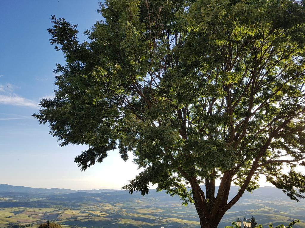 Villa Nencini Volterra Dış mekan fotoğraf