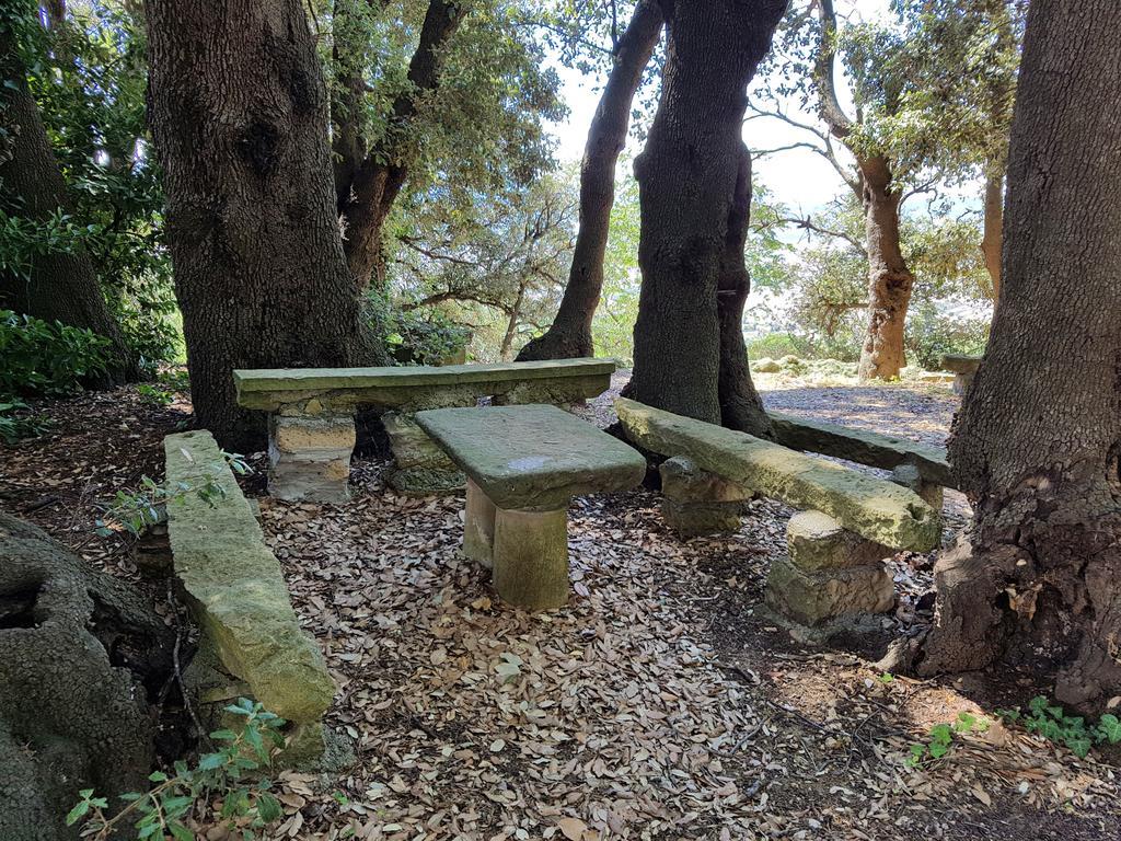 Villa Nencini Volterra Dış mekan fotoğraf