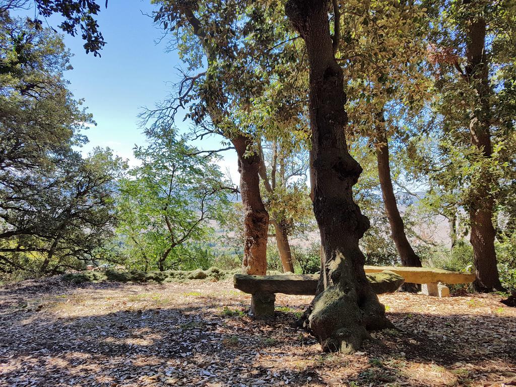 Villa Nencini Volterra Dış mekan fotoğraf